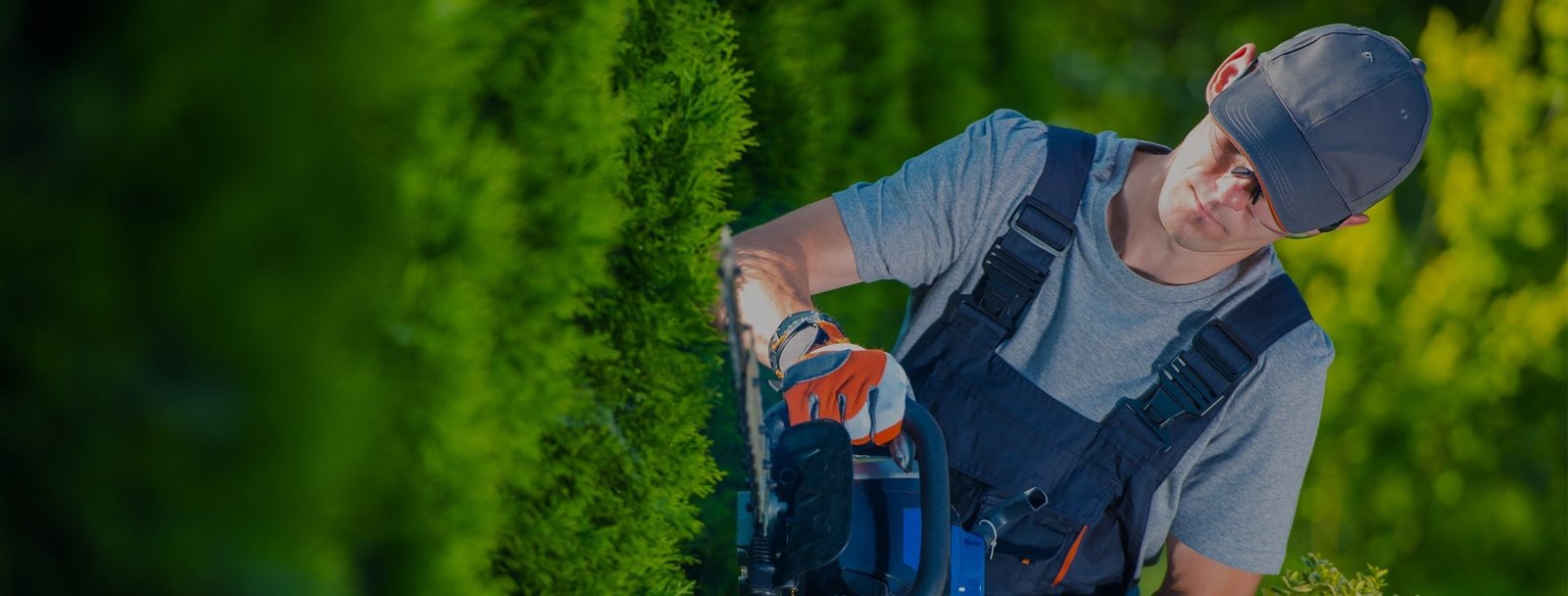 precision lawn care and landscaping